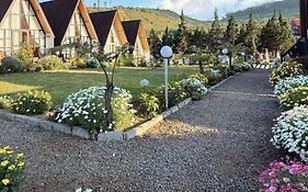 Platinum Cabin Dieng 3 By Horison